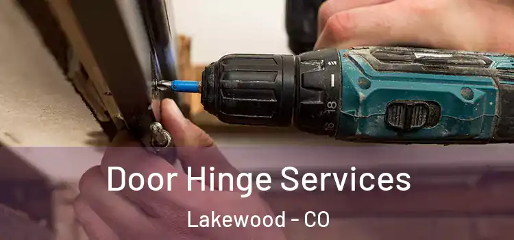  Door Hinge Services Lakewood - CO