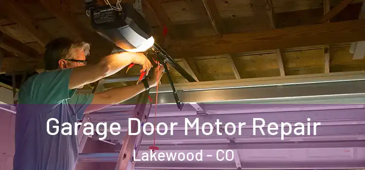  Garage Door Motor Repair Lakewood - CO