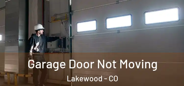  Garage Door Not Moving Lakewood - CO