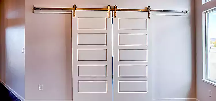 Glass Barn Door with Installation Hardware Kit Lakewood