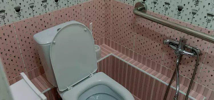 Meeting Diverse Needs With Accessible Restroom Solutions in Lakewood, CO
