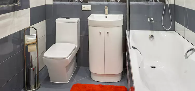 Hansgrohe Shaving Mirror Lakewood