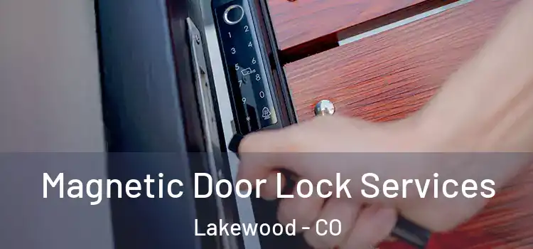 Magnetic Door Lock Services Lakewood - CO
